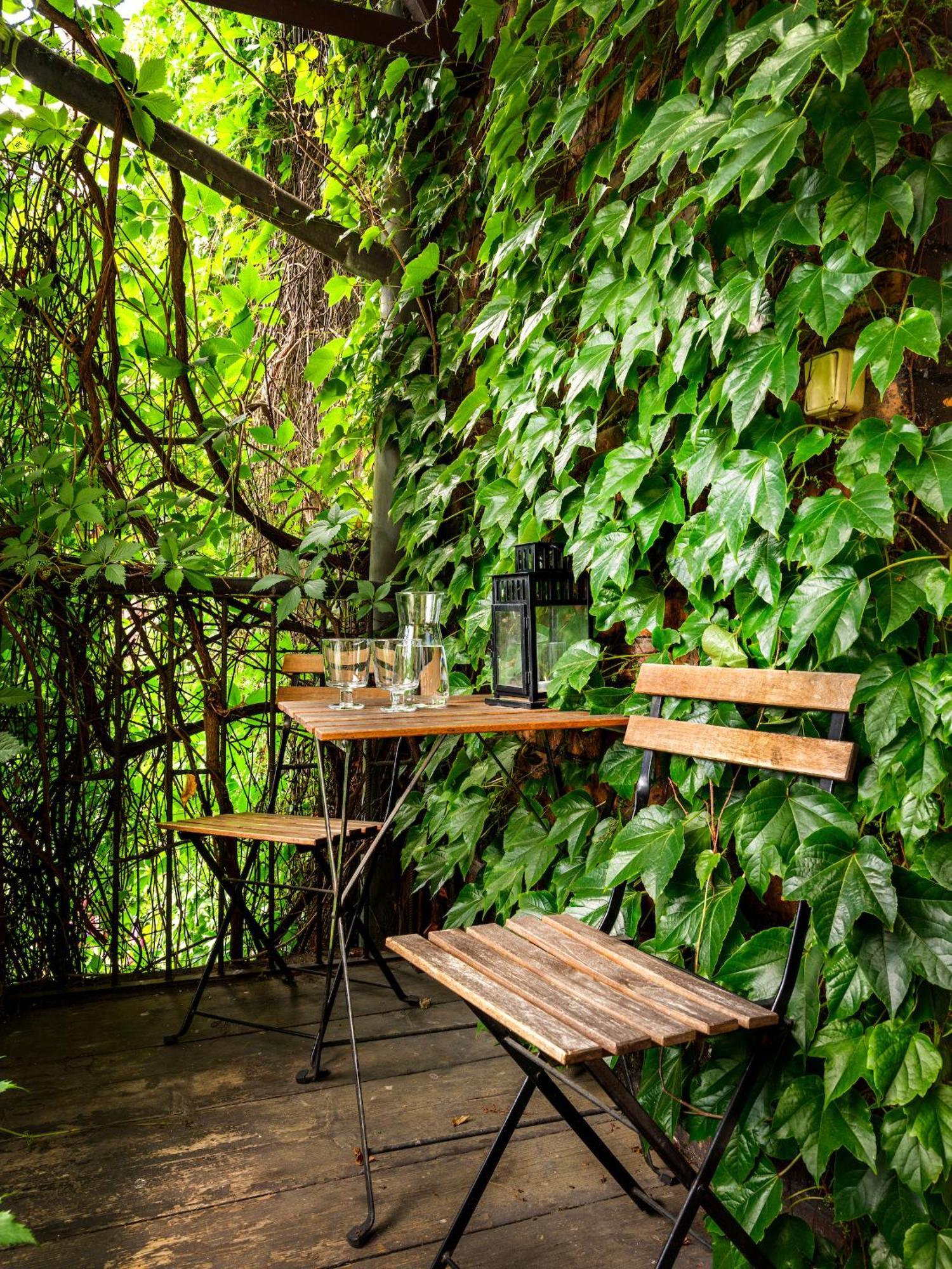 Tyzenhauz Grand Apartaments 克拉科夫 外观 照片
